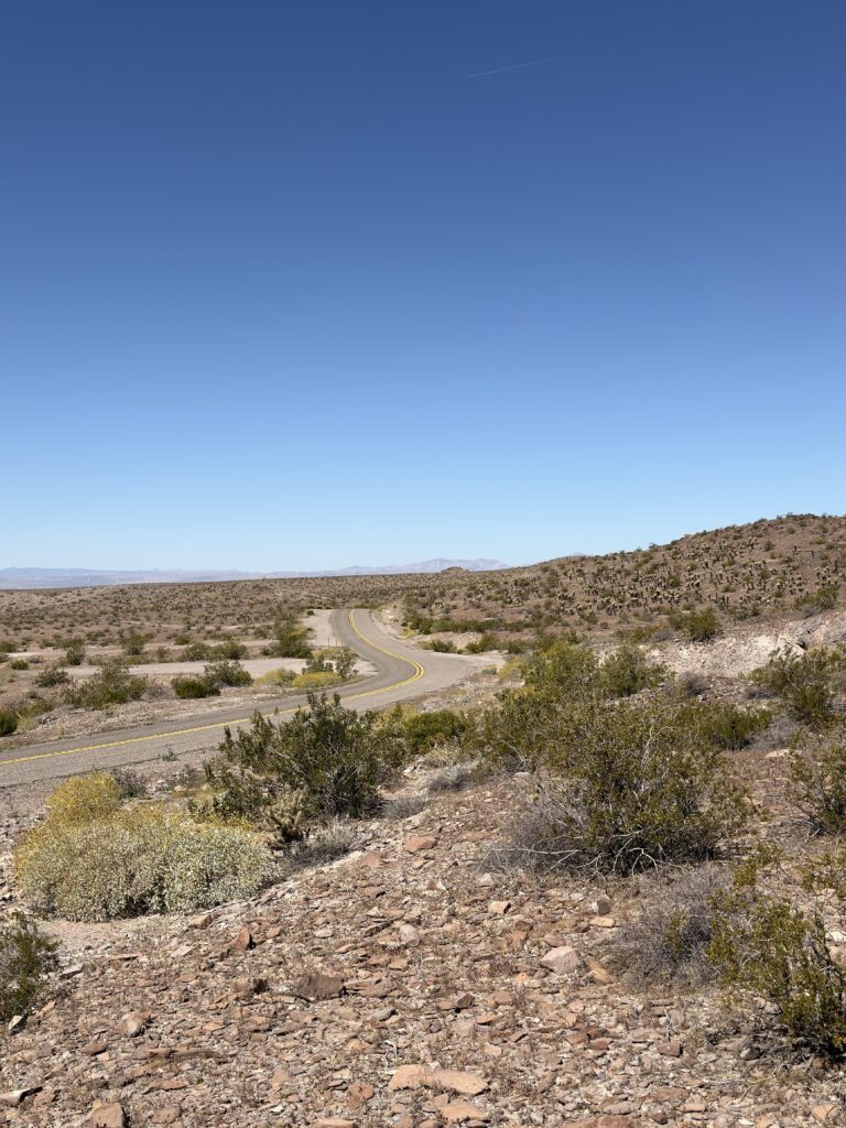 Kurvenreiche Route 66 durch die Wüstenlandschaft mit Cholla-Kakteen in Arizona