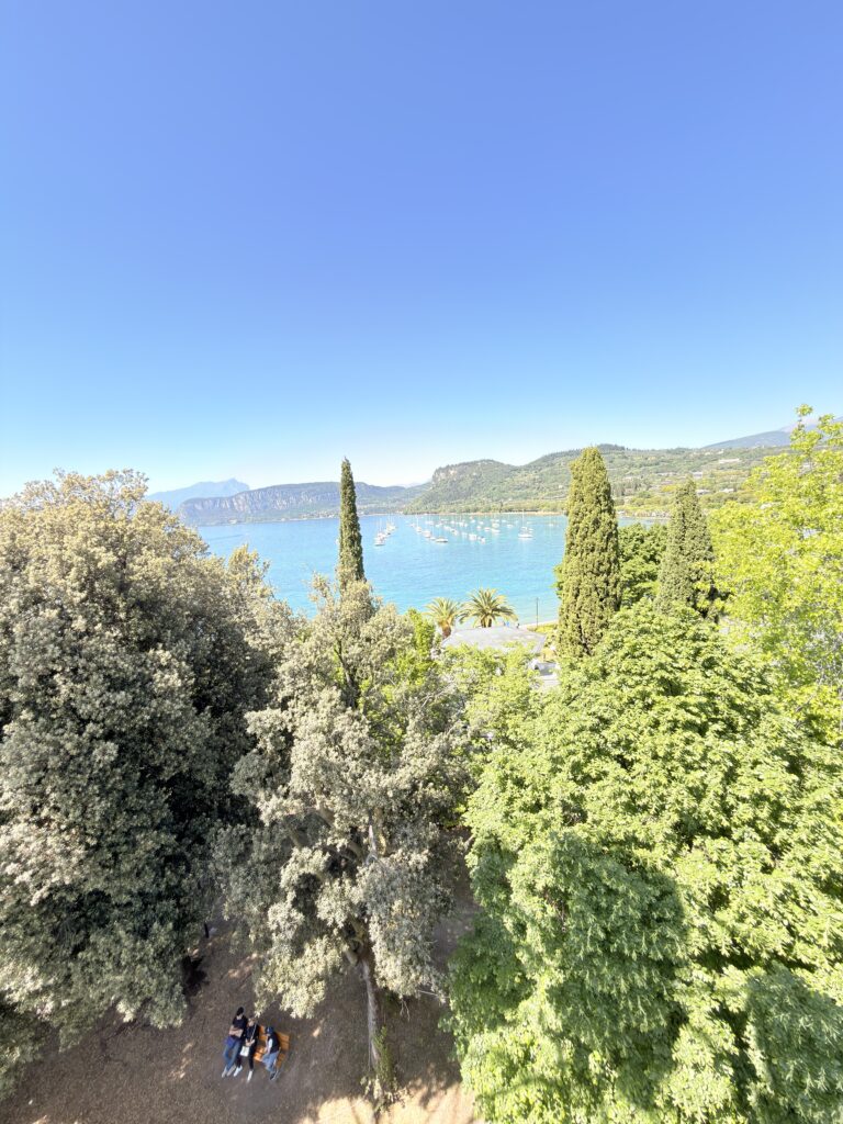 Blick durch Olivenbäume und Zypressen auf den blauen Gardasee im Sonnenlicht