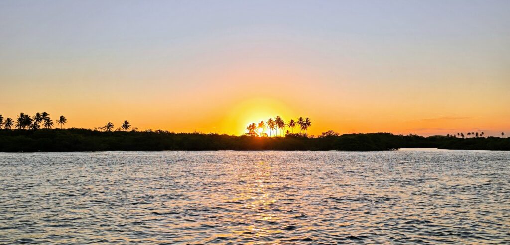 Panorama Sonnenuntergang am Pontal de Maracaípe – Sonne hinter Palmen spiegelt sich im Wasser