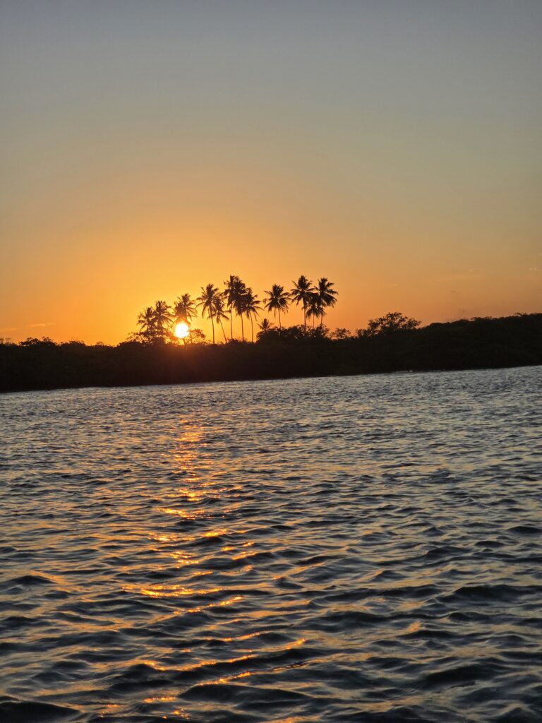Panorama Sonnenuntergang am Pontal de Maracaípe – Sonne hinter Palmen spiegelt sich im Wasser