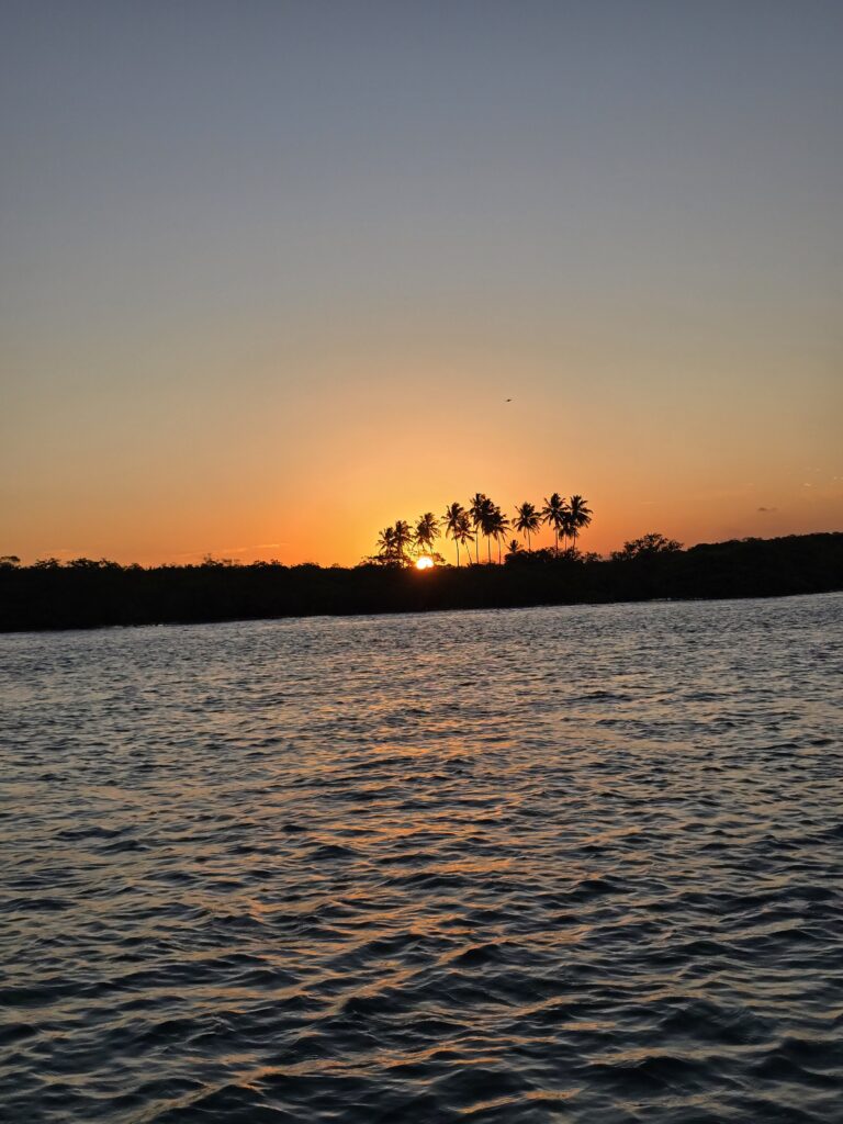 Intensiver Sonnenuntergang mit Palmensilhouetten und orangerotem Himmel über dem Rio Maracaipe