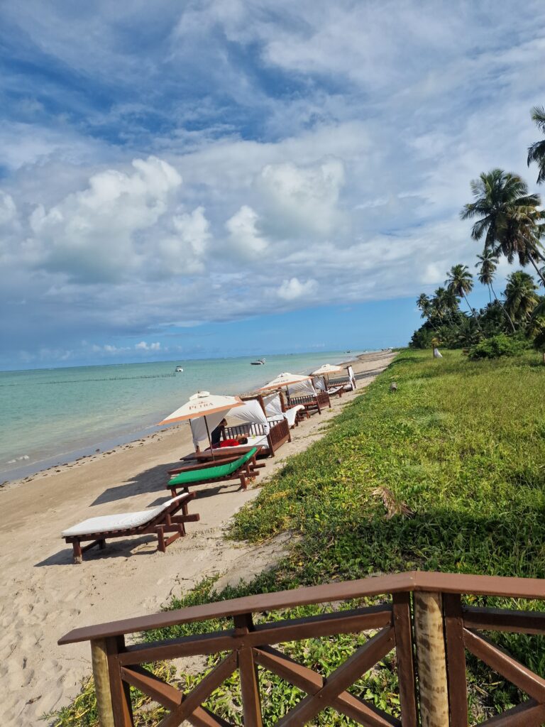 Liegestühle und weiße Sonnenschirme am palmengesäumten Strand von Maragogi mit türkisfarbenem Meer