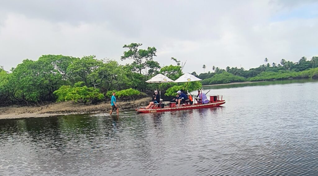 Kleines rotes Boot mit Sonnenschirmen und Passagieren fährt durch die Mangroven von Maracaipe, ein Guide watet nebenher durchs Wasser