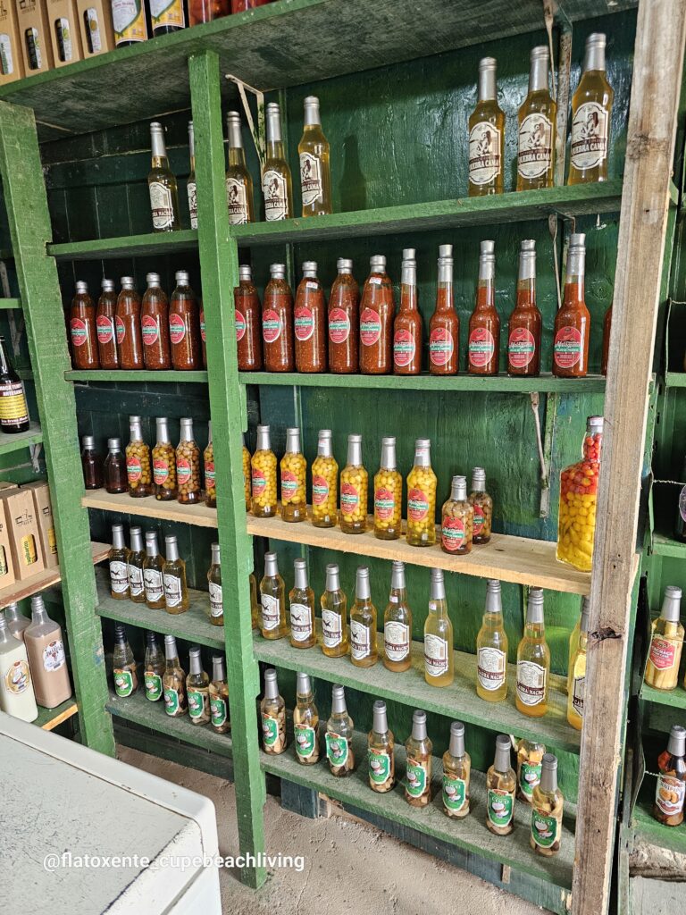 Grünes Holzregal voller Cachaça-Flaschen in verschiedenen Geschmacksrichtungen wie Kokos, Açaí und Maracuja in einem kleinen Laden bei Nazaré