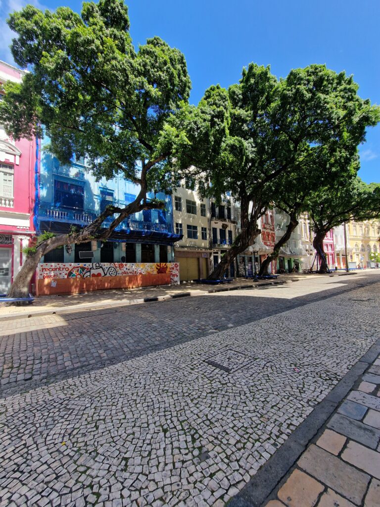Kopfsteinpflasterstraße mit großen Bäumen und bunten Kolonialfassaden im historischen Viertel Recife Antigo