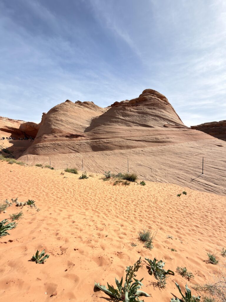 Große gewellte Sandsteinformation am Eingangsbereich von Bidii the Arch mit kleiner Besuchergruppe im Hintergrund