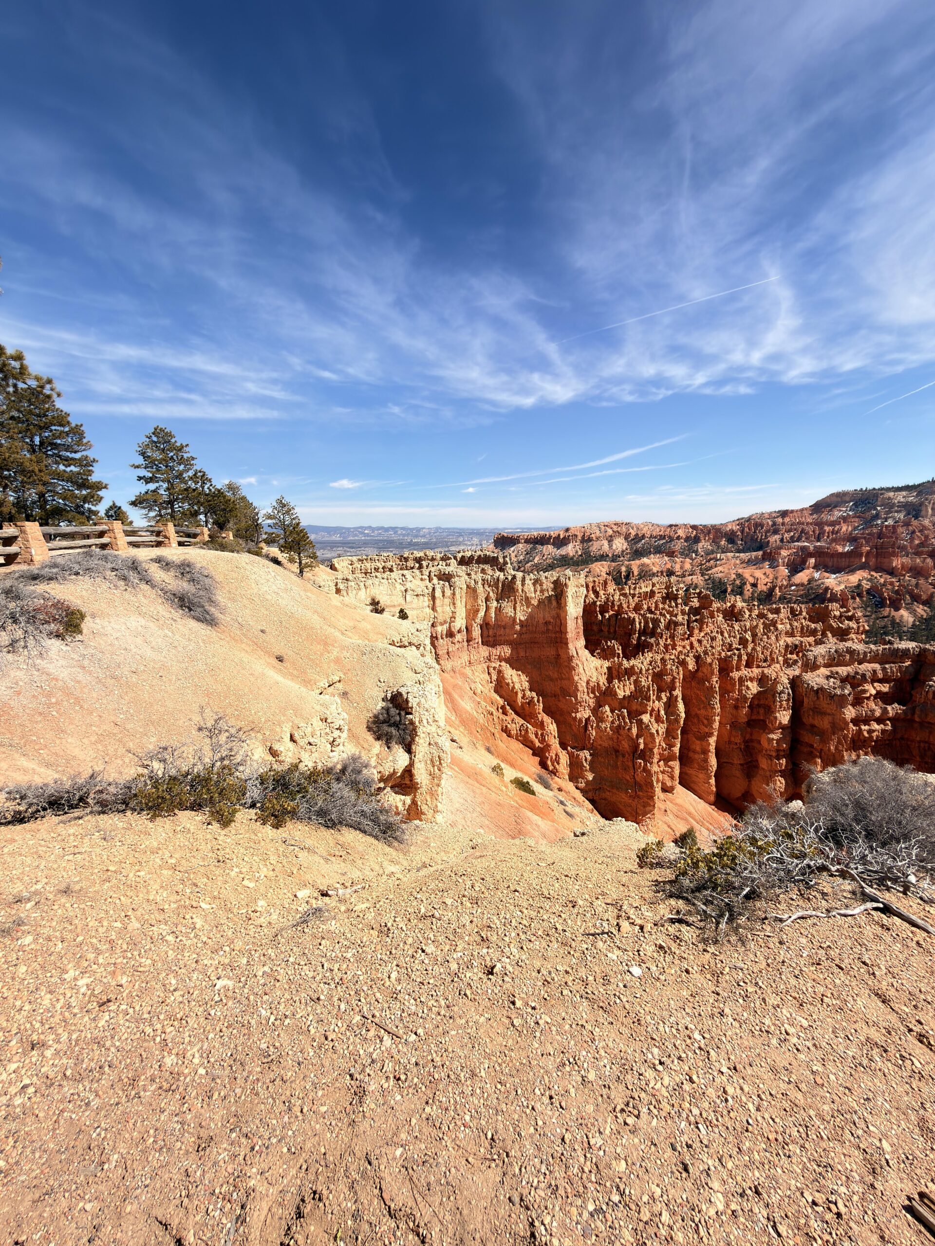 Aussichtspunkt mit Bäumen und Blick auf das Bryce Canyon Tal
