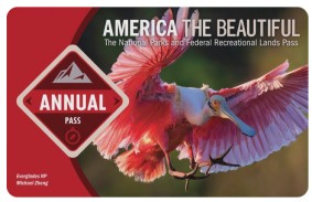 America the Beautiful Annual Pass Karte mit rosa Löffler-Vogel, Nationalparkpass für die USA