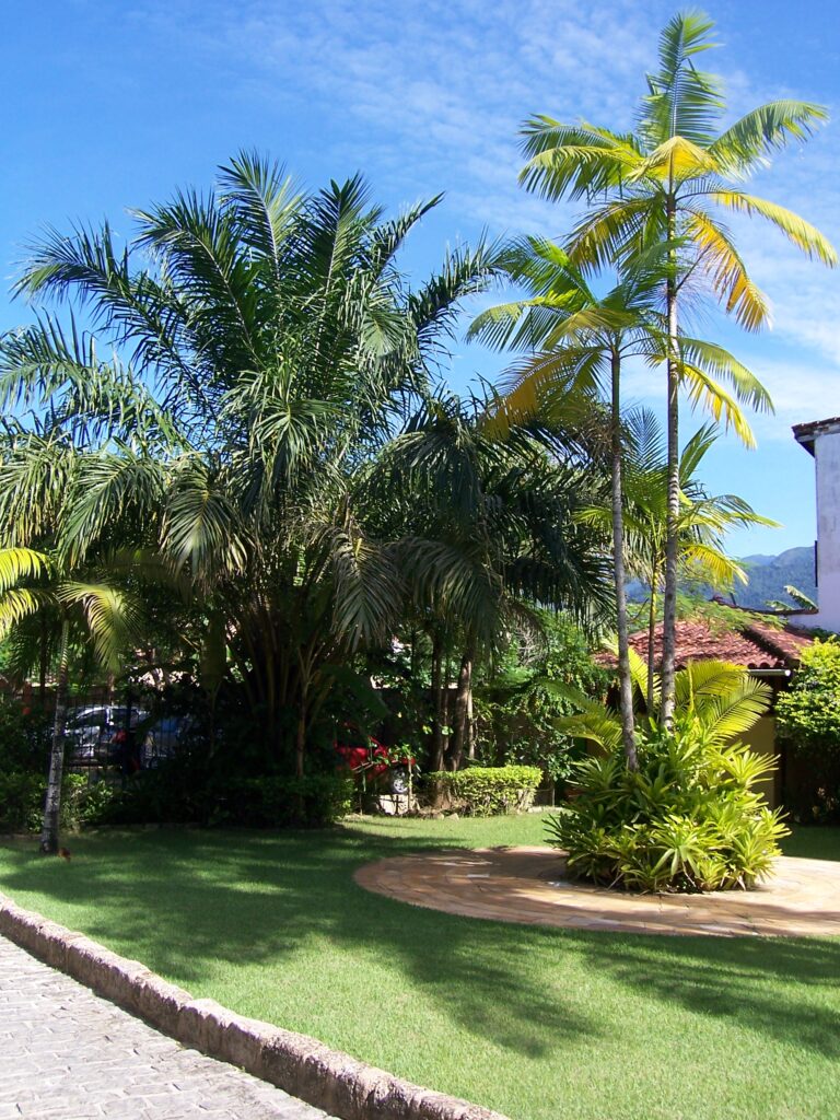 Tropischer Garten mit hohen Palmen und gepflasterten Wegen in Paraty, Brasilien