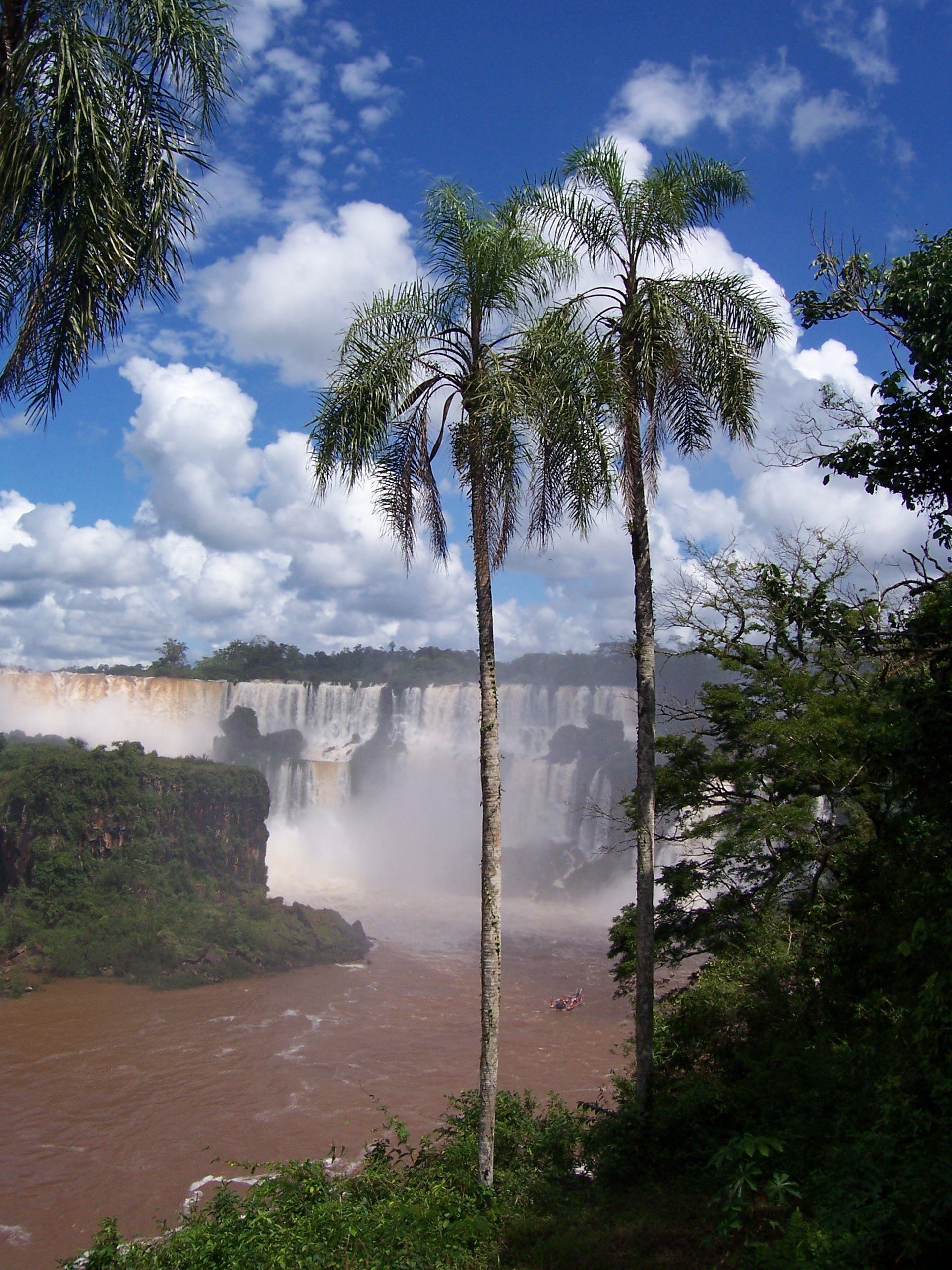 Zwei Palmen im Vordergrund, dahinter die Iguazú-Fälle und ein Boot auf dem lehmfarbenen Fluss, Argentinien