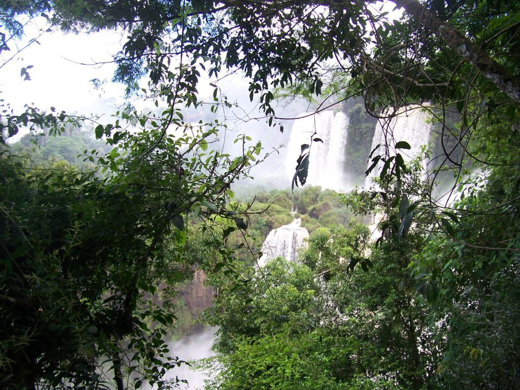 Wasserfälle der Iguaçu-Fälle, durch dichtes Blattwerk des Regenwalds hindurch fotografiert, Argentinien