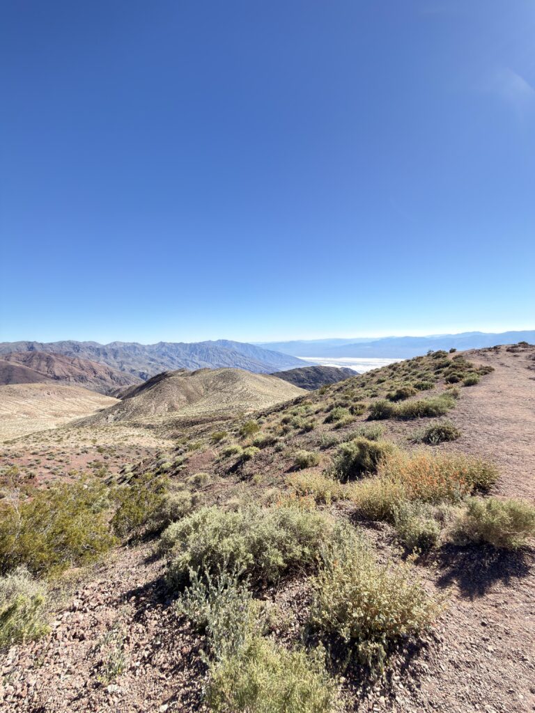 Wanderweg entlang eines Bergkamms mit Wüstenpflanzen und Blick auf das Death Valley