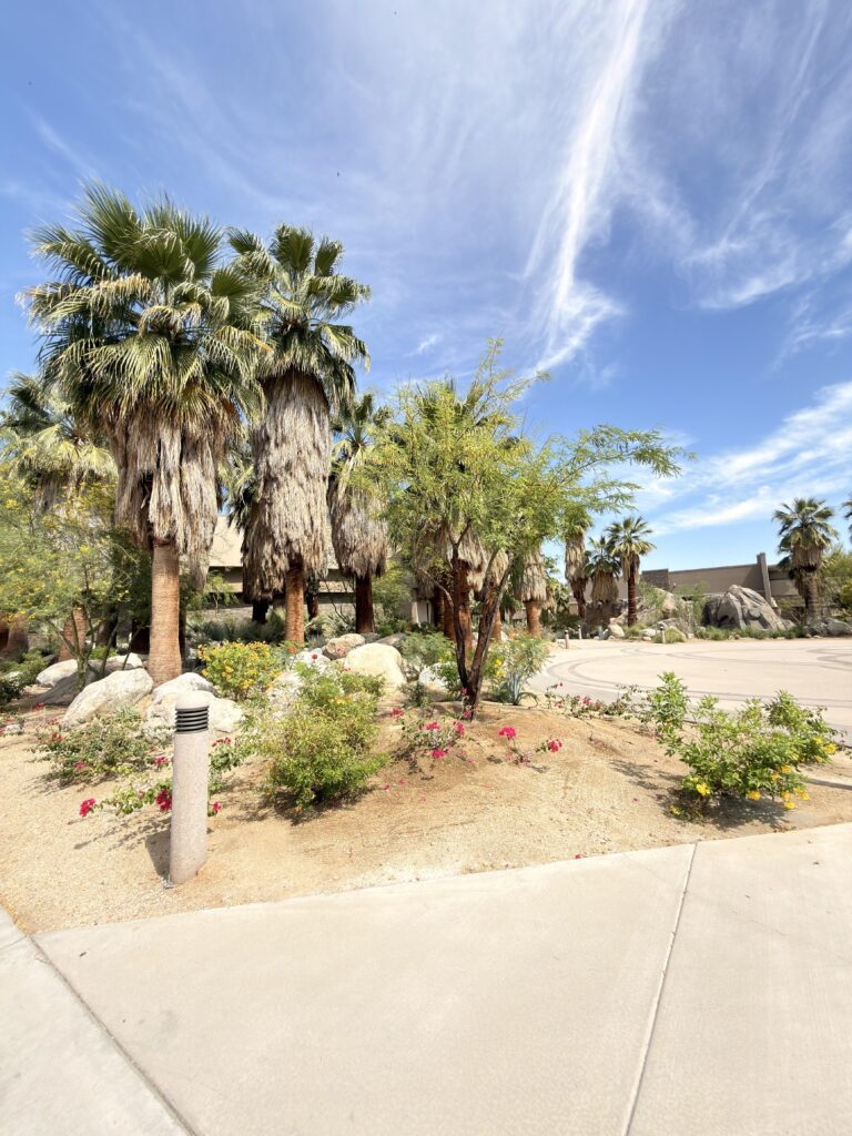 Gepflegte Palmen- und Blumenlandschaft in einer Resortanlage in Palm Springs