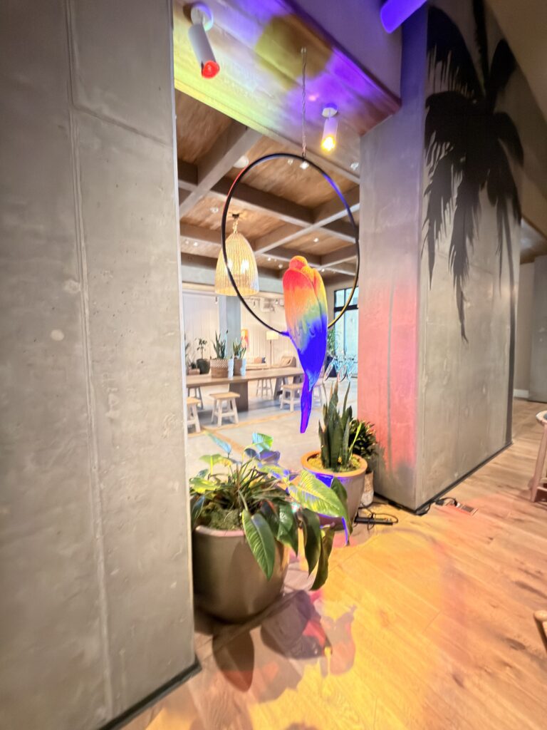 Bunte Papagei-Dekoration in einem Reifen hängend in der Lobby des Margaritaville Hotels San Diego